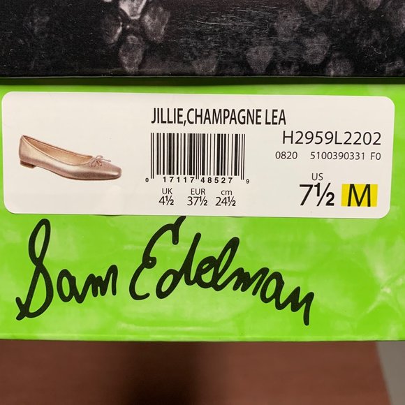 Sam Edelman - Jillian Ballet Flats - Picture 2 of 4